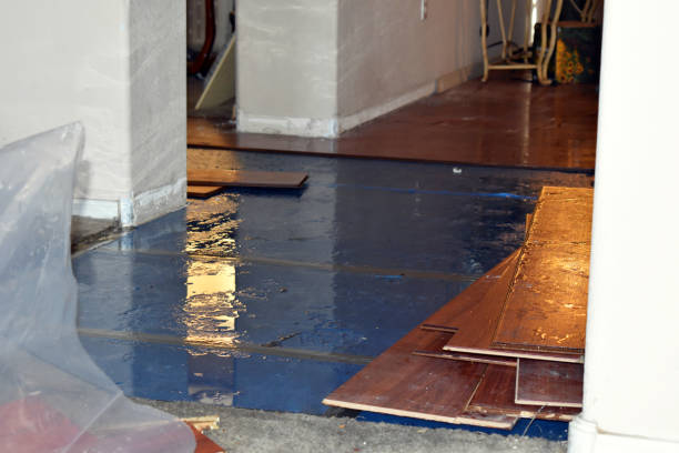 Professional Burst Pipe Cleanup technician working in Chatham, IL